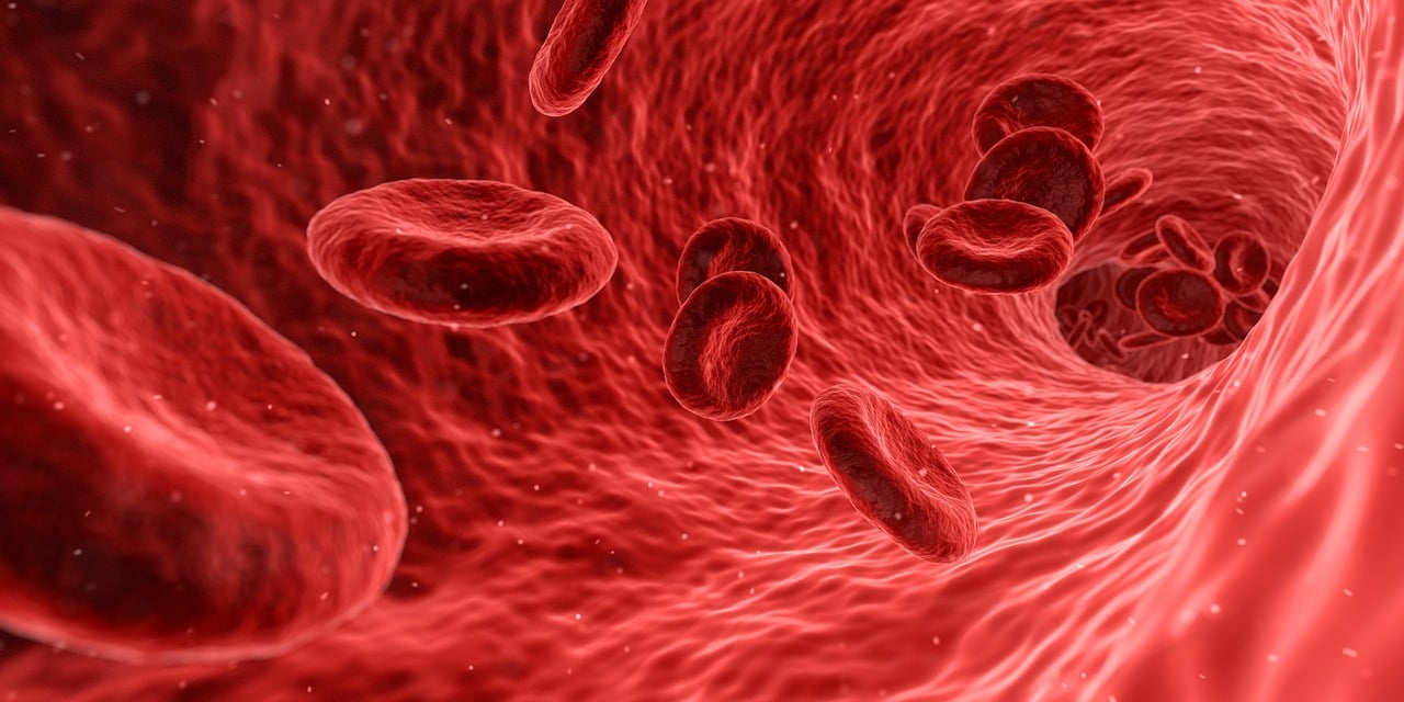 cells-1813410_1280 cells-1813410_1280